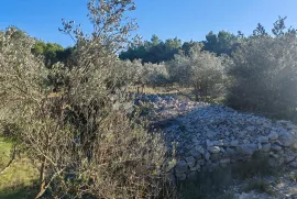 ZABLAĆE - ŠIBENIK - MASLINIK, Šibenik - Okolica, Terreno