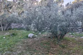 ZABLAĆE - ŠIBENIK - MASLINIK, Šibenik - Okolica, Terreno