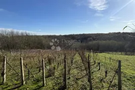 Vinograd i spokoj – Vaša savršena oaza u prirodi!, Kapela, Kuća