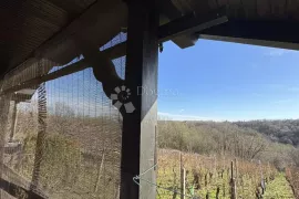 Vinograd i spokoj – Vaša savršena oaza u prirodi!, Kapela, Kuća