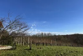 Vinograd i spokoj – Vaša savršena oaza u prirodi!, Kapela, Kuća