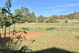 Stara kuća s velikim građevinskim zemljištem - 4288 m2, Žminj, Haus