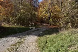 PRODAJE SE POLJOPRIVREDNO ZEMLJIŠTE 3000 m2 PODNO VELEBITA, Gospić - Okolica, Terreno