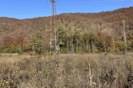 PRODAJE SE POLJOPRIVREDNO ZEMLJIŠTE 3000 m2 PODNO VELEBITA, Gospić - Okolica, Terreno