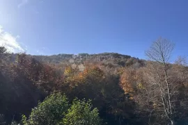 PRODAJE SE POLJOPRIVREDNO ZEMLJIŠTE 3000 m2 PODNO VELEBITA, Gospić - Okolica, Land