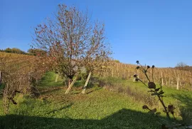 Kuća za odmor u Lokošin Dolu, Jastrebarsko - Okolica, Дом