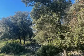 Poljoprivredni teren u Osoru, Mali Lošinj, Land