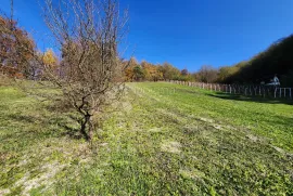 Klijet / vikendica nadomak Vinskom Vrhu sa 2.277m² izuzetno vinorodnog zemljišta, Hrašćina, Kuća