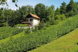 Klijet / vikendica nadomak Vinskom Vrhu sa 2.277m² izuzetno vinorodnog zemljišta, Hrašćina, Kuća