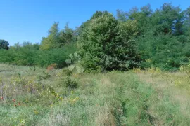 Poljoprivredno zemljište između Roča i Huma, Buzet, Terra