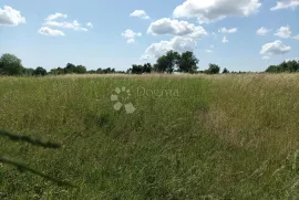 Malo poljoprivredno zemljište u blizini sela, Buzet, Terra