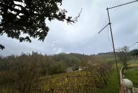 Kuća s potencijalom na odličnoj lokaciji, Vinica, Kuća