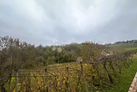 Kuća s potencijalom na odličnoj lokaciji, Vinica, Kuća