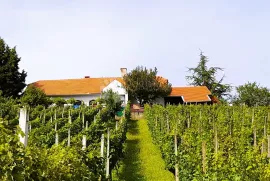 Kuća s potencijalom na odličnoj lokaciji, Vinica, Kuća