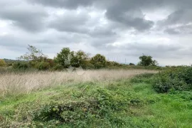 BARBAN – građevinska parcela s prekrasnim, otvorenim pogledom, Barban, Terrain