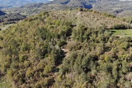 Sjajno poljoprivredno zemjište u okolici Buzeta, Buzet, Terra