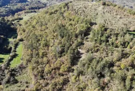 Sjajno poljoprivredno zemjište u okolici Buzeta, Buzet, Terra