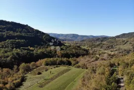 Poljoprivredno zemljište uz cestu na mirnoj lokaciji, Buzet, Terra