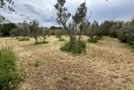 ZEMLJIŠTE ZA VAŠ DOM, Ližnjan, Land