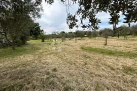 IDEALNO ZEMLJIŠTE ZA GRADNJU KUĆE, Ližnjan, Terrain