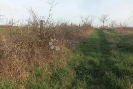 Građevinsko zemljište s pogledom, Barban, Tierra