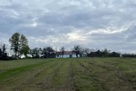 Dvije kuće, građevinsko i poljoprivredno zemljište, šuma, Našice, Дом