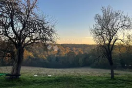 Dvije kuće, građevinsko i poljoprivredno zemljište, šuma, Našice, Дом