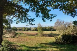 Prostrana građevinska parcela s pogledom na more u mirnom susjedstvu, Brtonigla, Terrain