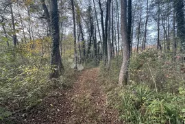 BRUŠANE 7300 m2 - TURISTIČKA NAMJENA, Gospić - Okolica, Land