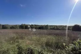 GRAĐEVINSKO ZEMLJIŠTE OKRUŽENO ZELENILOM, 20MIN DO GRADA POREČA!, Tinjan, Terrain