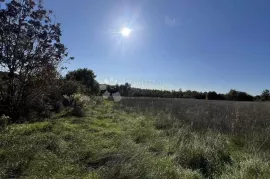 GRAĐEVINSKO ZEMLJIŠTE OKRUŽENO ZELENILOM, 20MIN DO GRADA POREČA!, Tinjan, Terrain