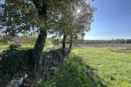 GRAĐEVINSKO ZEMLJIŠTE OKRUŽENO ZELENILOM, 20MIN DO GRADA POREČA!, Tinjan, Terrain