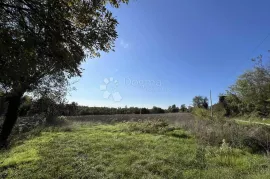 GRAĐEVINSKO ZEMLJIŠTE OKRUŽENO ZELENILOM, 20MIN DO GRADA POREČA!, Tinjan, Земля