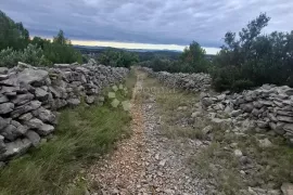 MASLINIK S POGLEDOM NA MORE MILNA BRAČ, Milna, Arazi