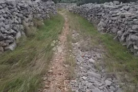 MASLINIK S POGLEDOM NA MORE MILNA BRAČ, Milna, Arazi