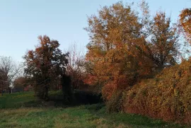 Prostrano građevinsko zemljište blizu Križevaca, Križevci, Arazi