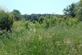 Useljiva kuća na mirnoj lokaciji sa štalom i građevinskim zemljištem, Kanfanar, Maison