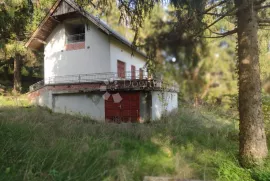 Vikendica, dobar potencijal, Gvozd, House