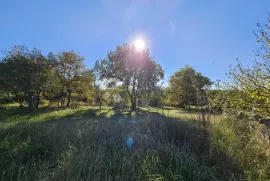 Građevinsko poljoprivredna parcela 1km od mora i golf terena, Umag, Γη