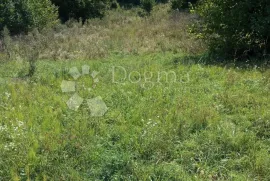 GORSKI KOTAR DELNICE PRILIKA ZA LUKSUZNO IMANJE, Delnice, Zemljište