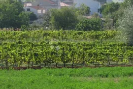 Građevinsko zemljište uz centar Barbana, Barban, Land