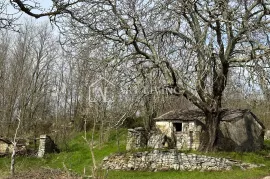 Istra, Grožnjan, okolica - autohtona istarska kamena kuća sa 60 000 m2 zemljišta, Grožnjan, House