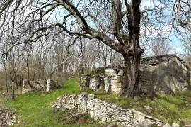 Istra, Grožnjan, okolica - autohtona istarska kamena kuća sa 60 000 m2 zemljišta, Grožnjan, House