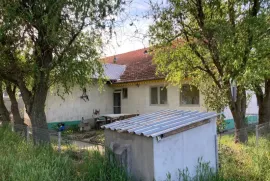 Farma u Kanjiži, 26ha, 846m2 ID#1537, Kanjiža, Ev