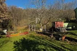 Čavle, Cernik, obiteljska kuća s 3000 m2 građevinskog zemljišta!, Čavle, Maison