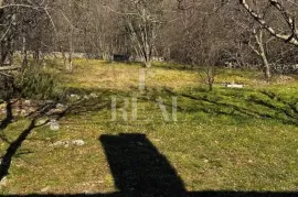 Čavle, Cernik, obiteljska kuća s 3000 m2 građevinskog zemljišta!, Čavle, Maison