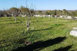 IDEALNO ZEMLJIŠTE ZA KUĆU, Marčana, Zemljište