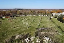 IDEALNO ZEMLJIŠTE ZA KUĆU, Marčana, Zemljište