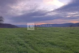 Buzet Građevisnko zemljište 2400 m2, Buzet, Terrain