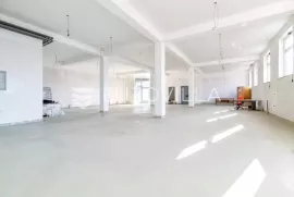 Zagreb, Savica, dvoetažni poslovni prostor 660 m2 u podrumu i prizemlju zgrade novije gradnje, Zagreb, Commercial property